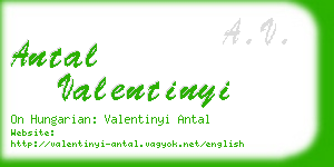 antal valentinyi business card